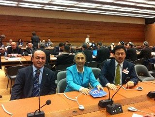 Birleşmiş Milletler'den Çin'e Uygur darbesi