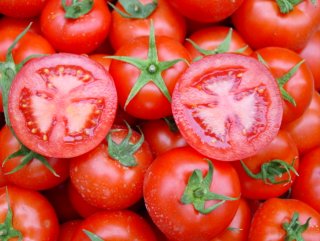 27 ton yasaklı domates imha edildi