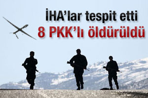 Kış tertibindeki 8 PKK'lı ldrld