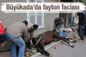Bykada'da fayton kazası: 1 l