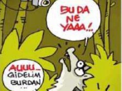 Habertürk ve Sabah'tan MHP karikatürleri