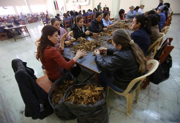 Savaşın sürdüğü Suriye'de tütün endüstrisi canlandı