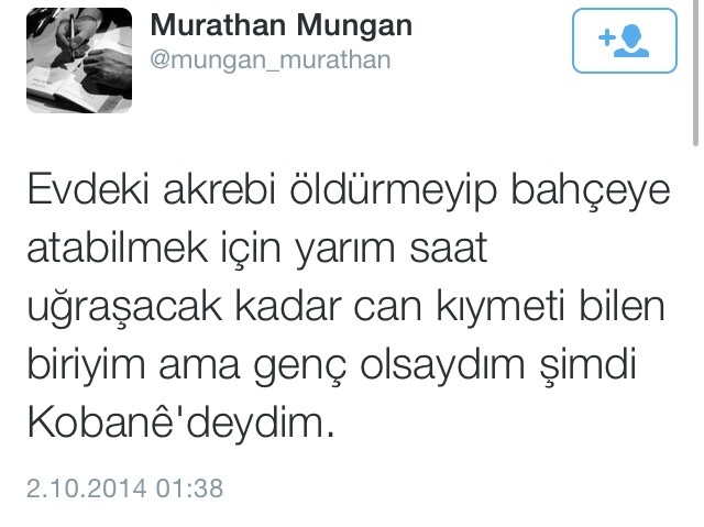 Murathan Mungan: Genç olsaydım şimdi Kobane'deydim